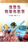 观赏鱼饲养与欣赏