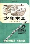 少年木工