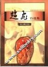 赵飞自选集  画册