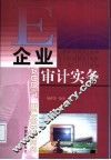 企业审计实务