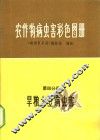 农作物病虫害彩色图册  第4分册  旱粮、大豆病虫害