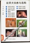 玩赏犬饲养与选购