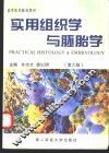 实用组织学与胚胎学