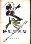 油橄榄栽培