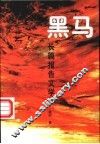 黑马  长篇报告文学