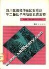 四川盐边哇落地区石炭纪-早二叠世早期地层及古生物