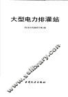大型电力排灌站