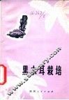 黑木耳栽培