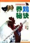 养鸡秘诀