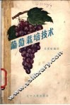 葡萄栽培技术