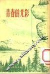 青春的光彩