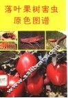 落叶果树害虫原色图谱