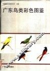 广东鸟类彩色图鉴