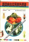 蔬菜病虫实用原色图谱