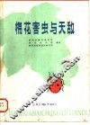 棉花害虫与天敌