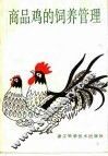 商品鸡的饲养管理