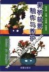 果树盆景制作与养护