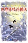 世界悲情诗精选