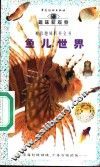 鱼儿世界