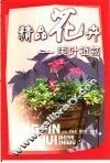 精品花卉：美叶植物