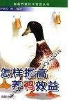 怎样提高养鸭效益