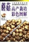 蘑菇高产栽培彩色图解