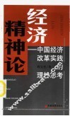 经济精神论  中国经济改革实践的理性思考
