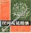 民间枕花图集