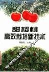 甜樱桃高效栽培新技术