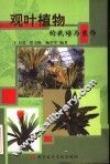 观叶植物的栽培与装饰