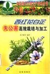 西红花白芷无公害高效栽培与加工