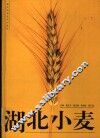 湖北小麦