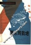 黑木耳栽培
