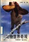 动物世界奇观