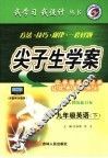 尖子生学案  英语  九年级  下  配人教版新课标