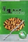 花生新品种及其种植技术