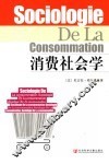 消费社会学