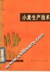 小麦生产技术