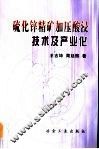 硫化锌精矿加压酸浸技术及产业化