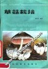 草菇栽培