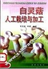 白灵菇人工栽培与加工