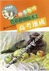 色彩静物临本  2