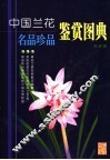 中国兰花名品珍品鉴赏图典