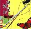 观赏昆虫  摄影集