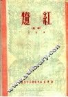 红灯  诗集