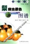 梨病虫原色图谱