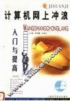 计算机网上冲浪入门与提高