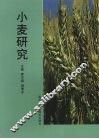 小麦研究