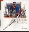 今日手绘·陈新生