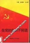 在党的指引下前进